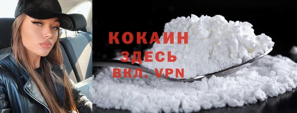 эйфоретик Арсеньев