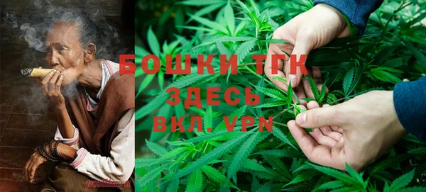эйфоретик Арсеньев