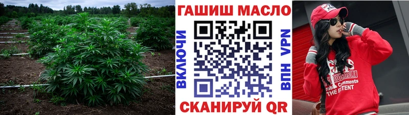 дарнет шоп  Струнино  Дистиллят ТГК Wax 